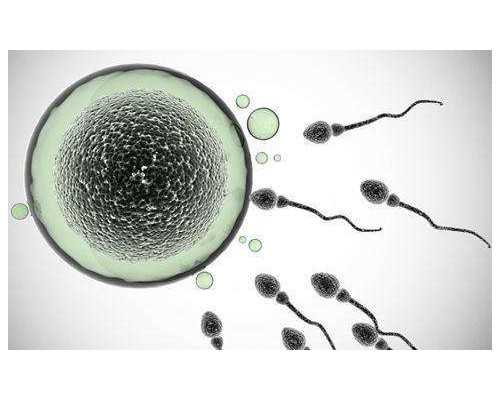 去香港验血真的准吗_香港验血哪个机构准_正规医院香港验血报告单真假!