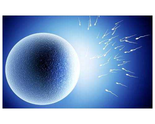 香港验血检查男女费用多少钱,备孕前可以做头发吗