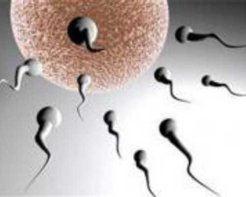 古玩签定应该去哪里,喝口凉水都胖的人怎么减肥?