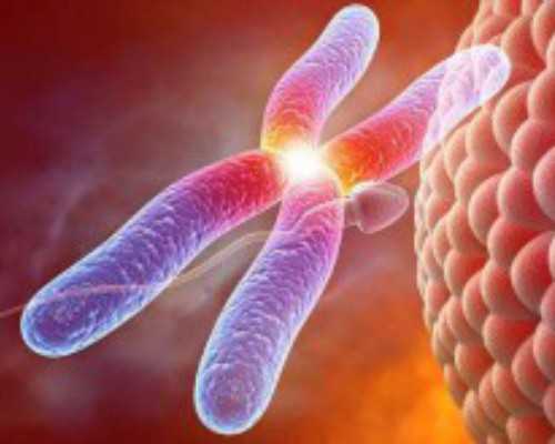 哈尔滨八达古玩市场,梦见草莓是什么意思