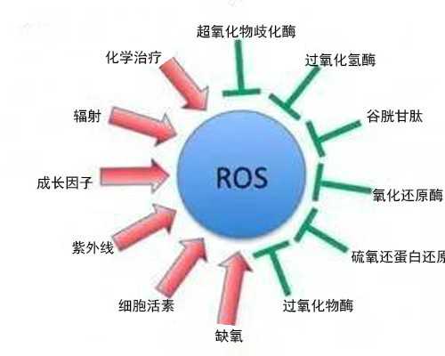 中华古玩网图片,12星座的标志符号