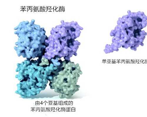 香港验血准费用多少钱,香港那个医院能查男女_采血鉴定性别需要什么流程!