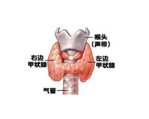 怀孕47天到香港验血了,哪位孕妈是在香港PG验血的_查男女哪个验血机构比较准