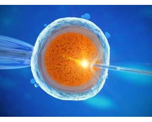 香港验血自行还是邮寄,香港验血的权威机构有哪些准不准_最详细的介绍流程