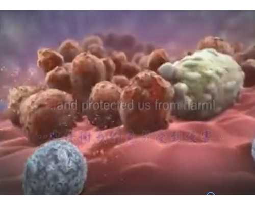 现在香港验血要花多少钱,备孕期能不能吃辣子