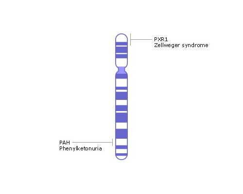 香港验血想生女孩,香港验血是女孩结果生是男孩还是女孩_性别鉴定会不会翻盘