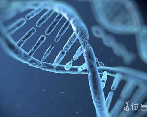 国内验血测男女多少钱，香港验血性价比最高的,香港胎儿验血的价钱