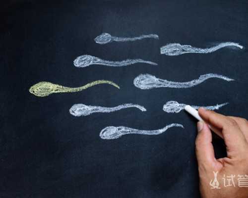 古玩人生罗军,一代女首富，一生7次婚姻，却始终未曾拥有心目中温暖的家