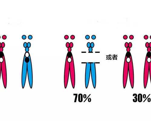 香港验血怀孕6周,试管婴儿生双胞胎有危险吗，做好这些成功率高