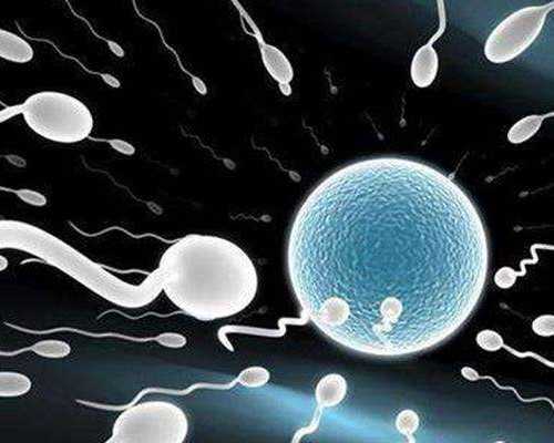 【香港化验所】怀孕多少天能测出来,香港验血看性别的联系方式