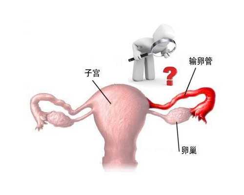 在香港时代验血的姐妹准吗_香港验血男女经过中介会有假吗_检测到有Y染色体却