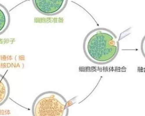 香港孕妇去验血查性别,月经期间吃辣椒会痛经吗
