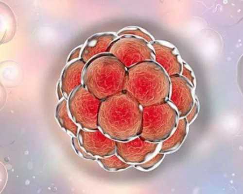 西安哪个古玩城值得逛,周锐曾以男团出道，演戏美过女主，宿舍被韩沐伯警告