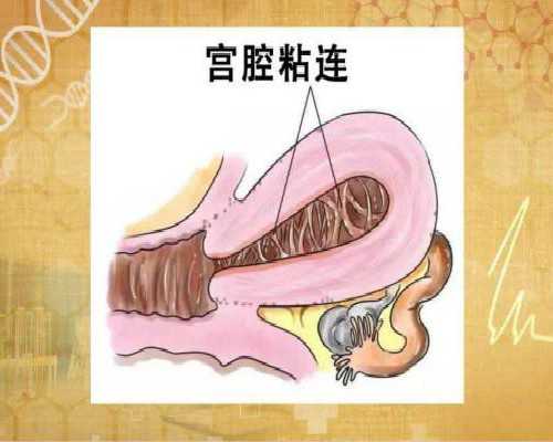 香港验血监督男女中介_香港验男女私人医院_验血女孩竟然翻盘!