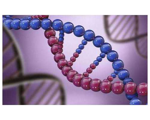 潘家园古玩市场图片,腰痛不适别忽视,警惕腰椎间盘突出症!