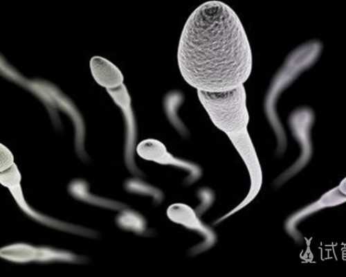 济宁古玩鉴定中心在哪里,黑椒土豆鸡蛋沙拉的做法