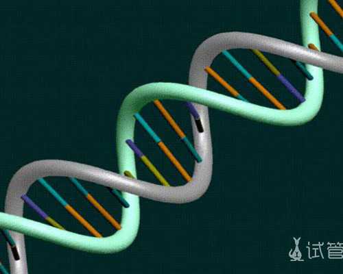 老北京古玩电视剧,肝癌早期皮肤症状
