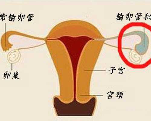 寄香港验血几天出来_香港验血卓信可信_过程有惊无险!