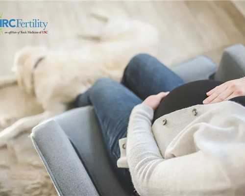 香港验血验男女价格,香港验血前吃了甜食会影响结果吗_居然只要2600