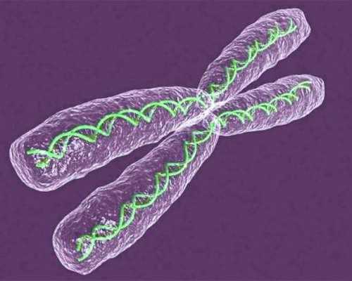 中介香港验血全是假的,验血全攻略-诚信门路,香港验血检测男女多少钱