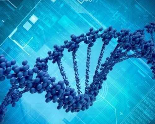 香港验血知宝宝性别_去香港验血几周最准,验血查男女是合法的吗?