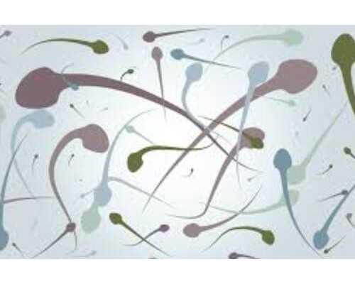 香港验血鉴定mk机构官网,澳门试管婴儿期间别做这些事儿，助你顺利怀孕！