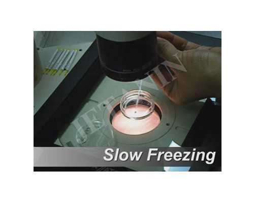 南京香港验血多少钱,2022年疫情期间能去俄罗斯做试管婴儿吗?