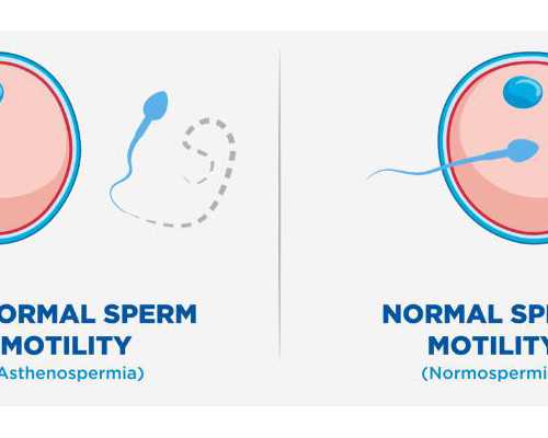 邮递香港验血用的是泡沫保温箱吗,备孕能用什么护肤品