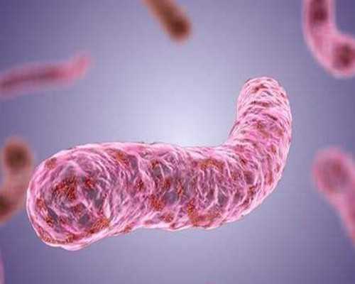 香港验血医院妇幼_香港验血有什么条件？分享我到香港验血的亲身经历