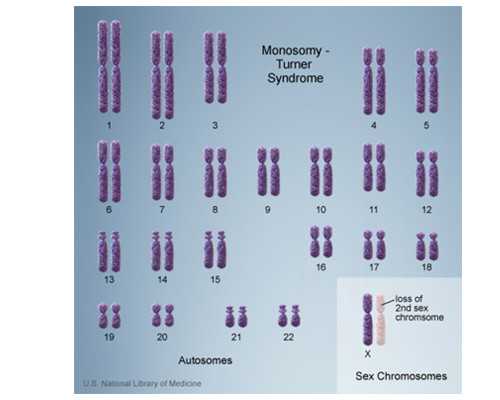 郑州古玩市场地摊,因为爱情变勇敢的星座