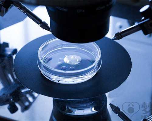 香港哪家医院验血可以鉴别性别_香港验血真的得准么_验血女却生了男孩是真的