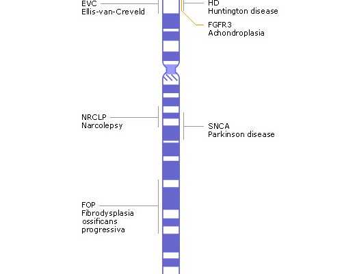 香港基因验血费用,月经期间喝什么汤丰胸 这样喝让你A变D!