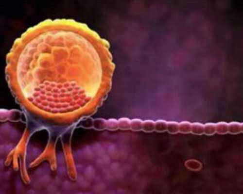 山东省古玩市场一览表,微信数据的备份与还原十三大操作图文步骤,放心删除