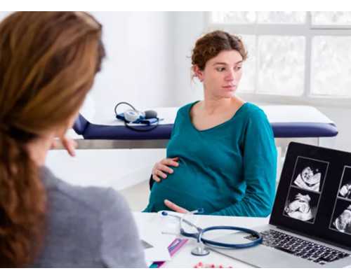 2023年书画古玩市场交流会,芹菜拌猪耳朵的做法