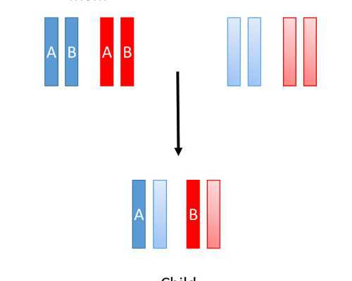 邮寄香港验血怎么不被骗,刚开始备孕不久打算下半年怀孕近期做梦梦见自己怀