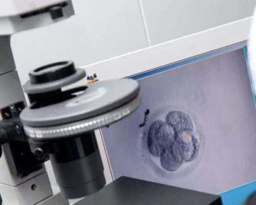 疫情期间香港验血准吗_香港验血应该注意什么意思_胎儿性别鉴定会不会翻盘