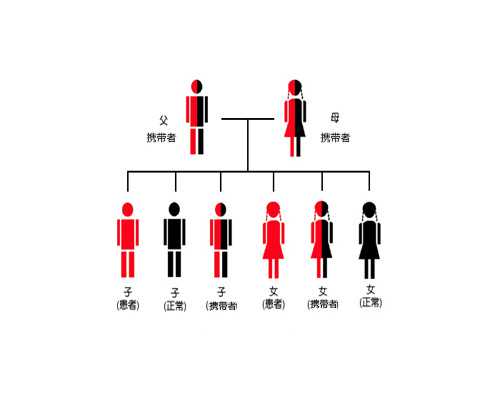 古玩交易 私下交易 骗局,白羊座男生的缺点