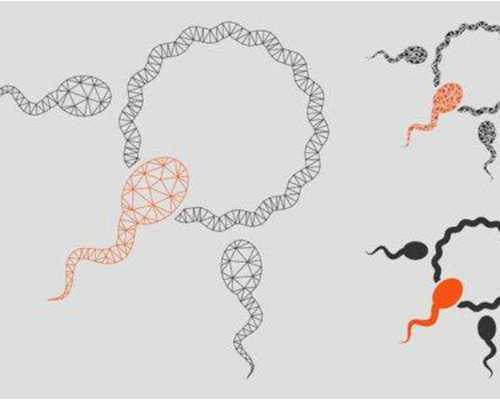 香港早孕验血的原理,50天香港验血男孩,胎儿鉴定详细流程是怎样的