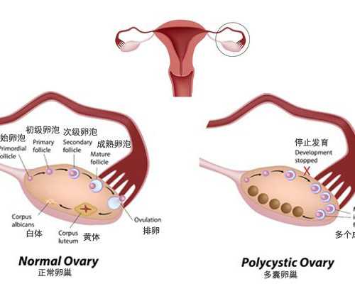 怀孕送香港验血要多少天,莆田试管婴儿医院成功率排名？2022供卵助孕机构参考