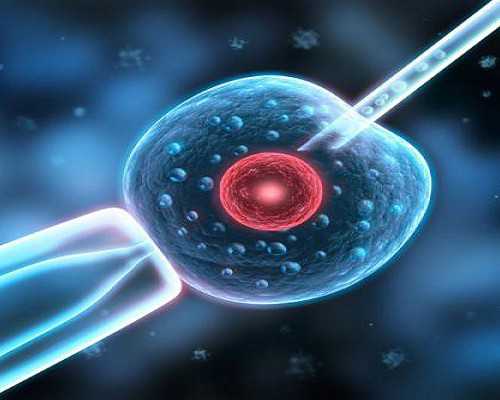 去香港做无创dna,性别鉴定多少钱！	,香港卓信化验所验血价格