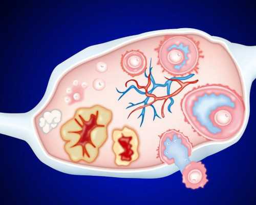 验血查胎儿性别中介,你想知道的流程都在这! 性别鉴定成本
,香港验血鉴定男女