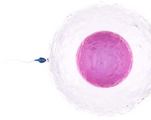 苏州个人现金收购古玩价格,落枕严重去什么科