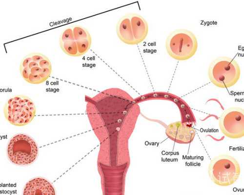 香港验血邮寄可以吗,关于香港无创亲子鉴定?让亲历者用事实来讲述验血真相