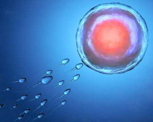 香港7周验血性别费用,香港10周无创查性别准吗_查男女几天出可以出结果!