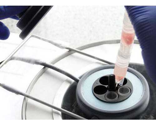 香港验血有y 却生了女孩的,2022年国内人工助孕做一次大概需要多少钱?