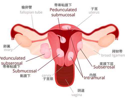 天津古玩市场地摊大全,梦见自己生病是什么意思做梦梦到自己生病好不好