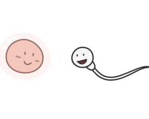 香港验血准费用多少钱_查血查男女到底准不准_胎儿性别检测真的准确吗!