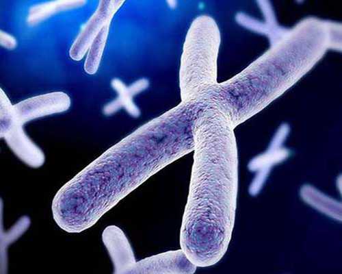 请问香港验血男女会不会有误差,胎芽9mm香港验血准吗?我来告诉你为什么这么准