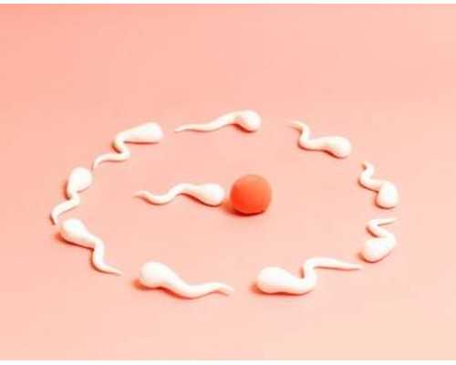 香港哪里有验血识别男女,经期怎样快速丰胸