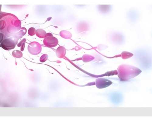 香港验血诊所资质,做试管胚胎质量不好还能养囊成功吗